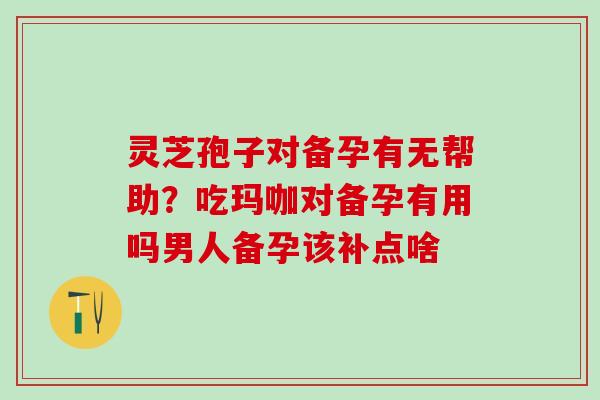 灵芝孢子对备孕有无帮助？吃玛咖对备孕有用吗男人备孕该补点啥