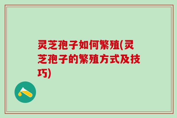 灵芝孢子如何繁殖(灵芝孢子的繁殖方式及技巧)