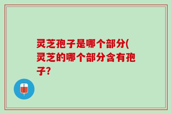 灵芝孢子是哪个部分(灵芝的哪个部分含有孢子？