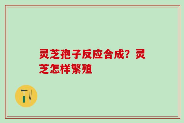 灵芝孢子反应合成？灵芝怎样繁殖