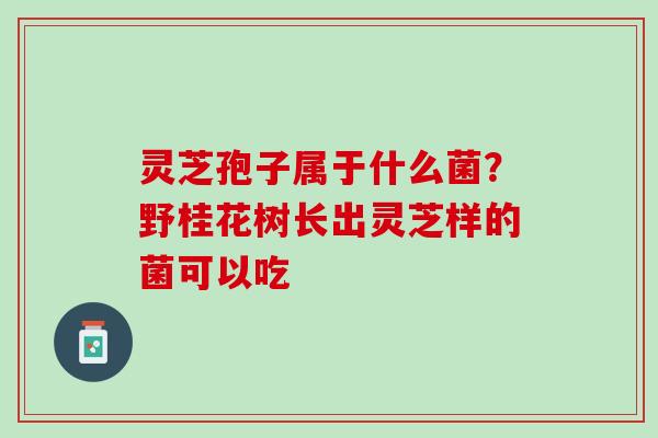 灵芝孢子属于什么菌？野桂花树长出灵芝样的菌可以吃