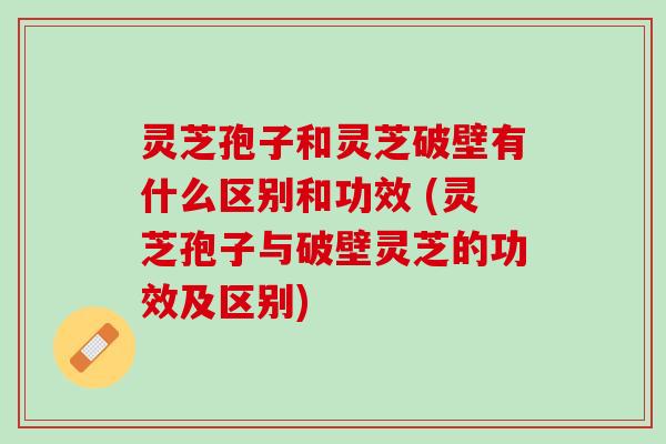 灵芝孢子和灵芝破壁有什么区别和功效 (灵芝孢子与破壁灵芝的功效及区别)