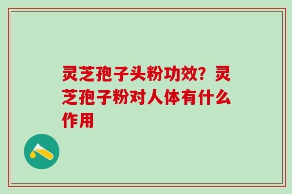 灵芝孢子头粉功效？灵芝孢子粉对人体有什么作用