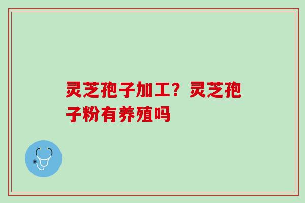 灵芝孢子加工？灵芝孢子粉有养殖吗