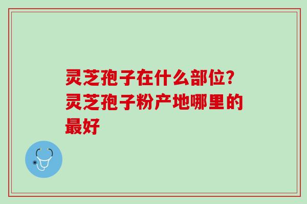 灵芝孢子在什么部位？灵芝孢子粉产地哪里的最好