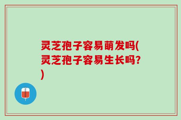 灵芝孢子容易萌发吗(灵芝孢子容易生长吗？)