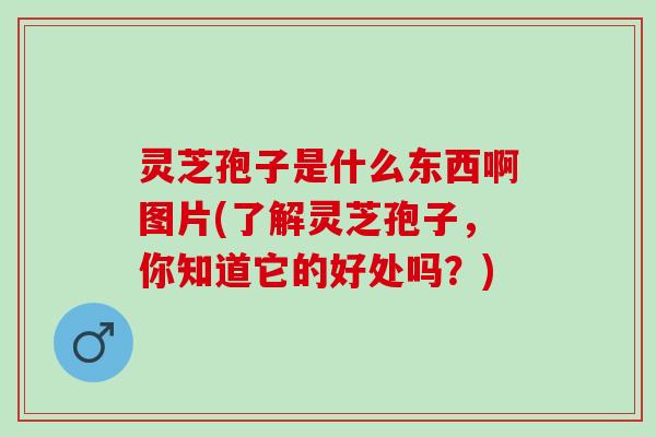 灵芝孢子是什么东西啊图片(了解灵芝孢子,你知道它的好处吗?) 灵芝孢子是什么东西啊图片(了解灵芝孢子,你知道它的好处吗?)
