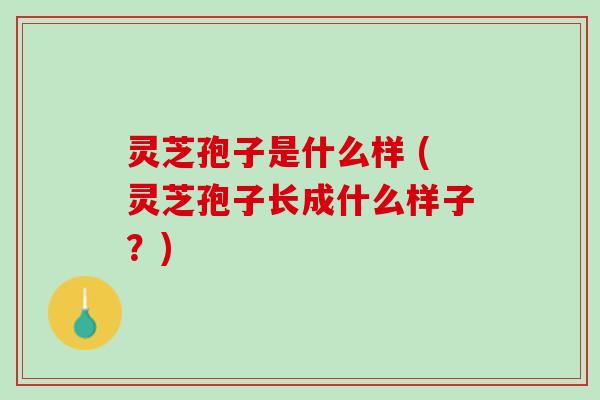 灵芝孢子是什么样 (灵芝孢子长成什么样子？)