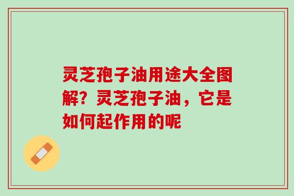 灵芝孢子油用途大全图解?灵芝孢子油,它是如何起作用的呢 灵芝孢子油用途大全图解?灵芝孢子油,它是如何起作用的呢