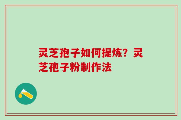 灵芝孢子如何提炼？灵芝孢子粉制作法
