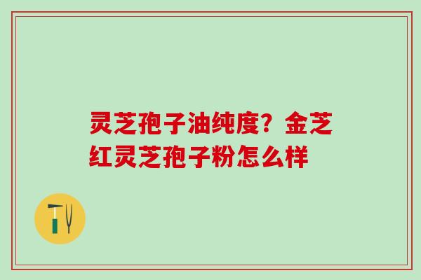 灵芝孢子油纯度？金芝红灵芝孢子粉怎么样