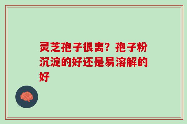 灵芝孢子很离？孢子粉沉淀的好还是易溶解的好
