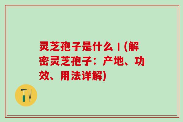 灵芝孢子是什么丨(解密灵芝孢子：产地、功效、用法详解)