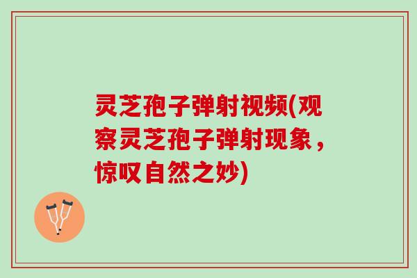 灵芝孢子弹射视频(观察灵芝孢子弹射现象，惊叹自然之妙)