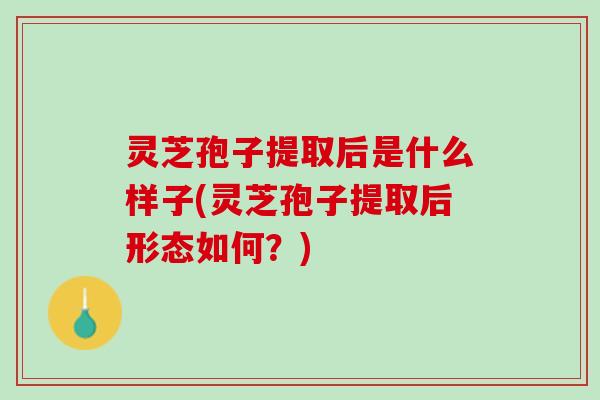 灵芝孢子提取后是什么样子(灵芝孢子提取后形态如何？)