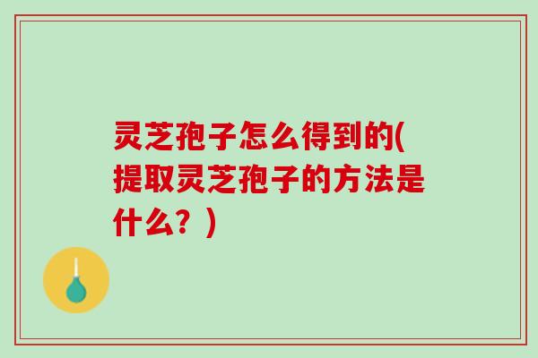 灵芝孢子怎么得到的(提取灵芝孢子的方法是什么？)