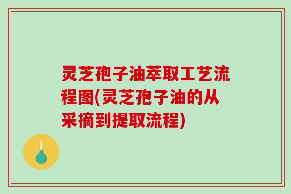 灵芝孢子油萃取工艺流程图(灵芝孢子油的从采摘到提取流程)