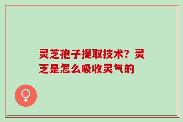 灵芝孢子提取技术？灵芝是怎么吸收灵气的