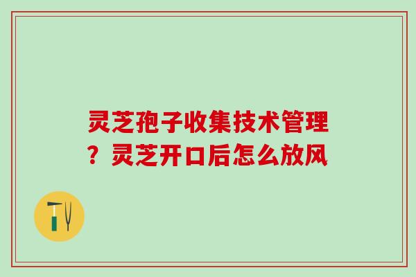 灵芝孢子收集技术管理？灵芝开口后怎么放风
