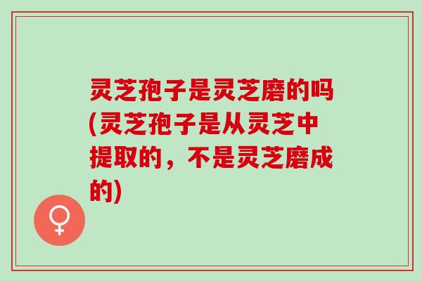 灵芝孢子是灵芝磨的吗(灵芝孢子是从灵芝中提取的，不是灵芝磨成的)