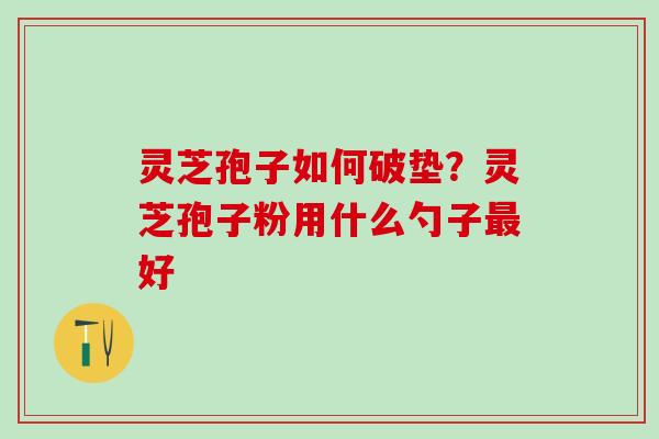 灵芝孢子如何破垫?灵芝孢子粉用什么勺子好 灵芝孢子如何破垫?灵芝孢子粉用什么勺子好