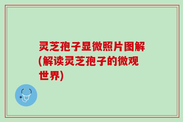 灵芝孢子显微照片图解(解读灵芝孢子的微观世界)