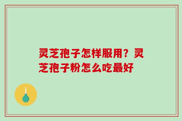 灵芝孢子怎样服用?灵芝孢子粉怎么吃好 灵芝孢子怎样服用?灵芝孢子粉怎么吃好