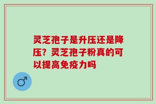 灵芝孢子是升压还是降压？灵芝孢子粉真的可以提高免疫力吗