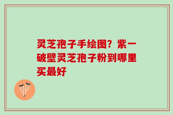 灵芝孢子手绘图?紫一破壁灵芝孢子粉到哪里买好 灵芝孢子手绘图?紫一破壁灵芝孢子粉到哪里买好