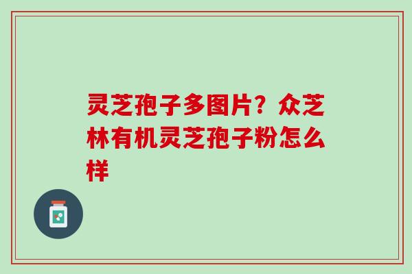 灵芝孢子多图片？众芝林有机灵芝孢子粉怎么样