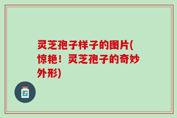 灵芝孢子样子的图片(惊艳!灵芝孢子的奇妙外形) 灵芝孢子样子的图片(惊艳!灵芝孢子的奇妙外形)