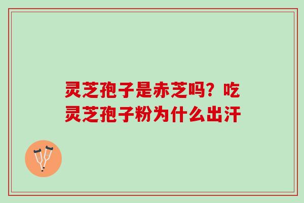 灵芝孢子是赤芝吗？吃灵芝孢子粉为什么出汗