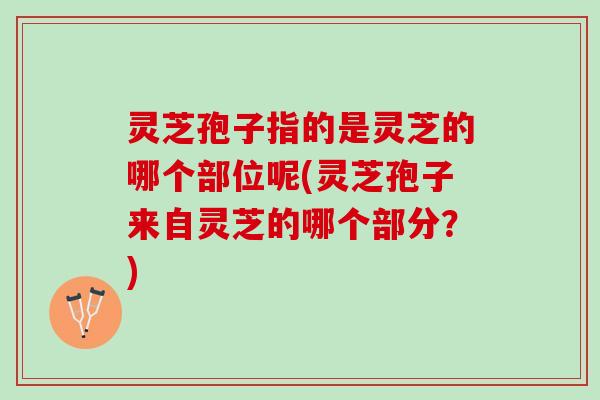 灵芝孢子指的是灵芝的哪个部位呢(灵芝孢子来自灵芝的哪个部分?) 灵芝孢子指的是灵芝的哪个部位呢(灵芝孢子来自灵芝的哪个部分?)