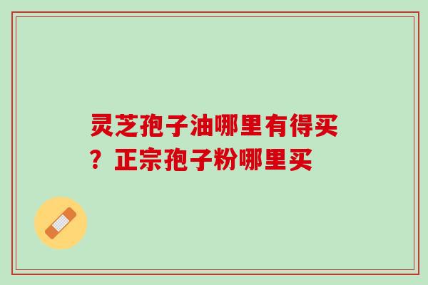 灵芝孢子油哪里有得买？正宗孢子粉哪里买