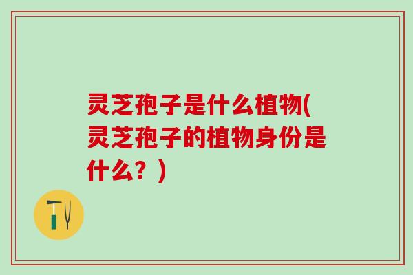 灵芝孢子是什么植物(灵芝孢子的植物身份是什么？)