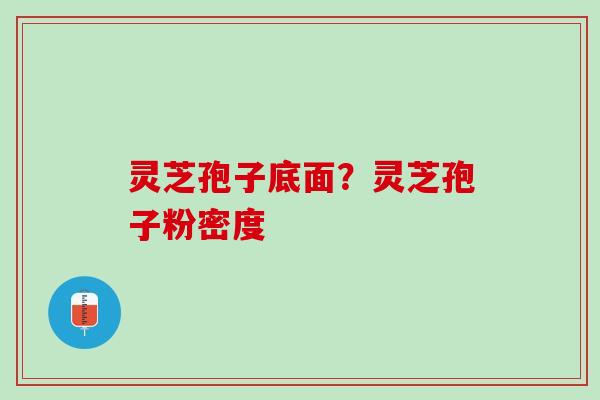 灵芝孢子底面？灵芝孢子粉密度