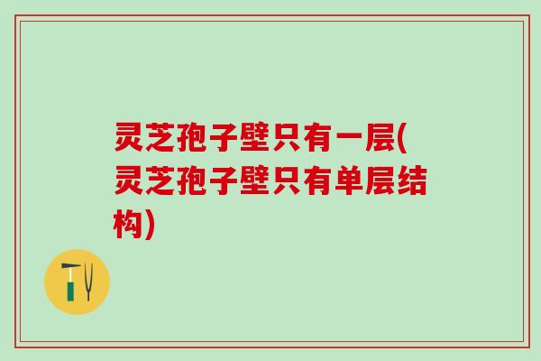 灵芝孢子壁只有一层(灵芝孢子壁只有单层结构)