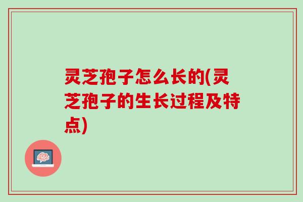 灵芝孢子怎么长的(灵芝孢子的生长过程及特点)