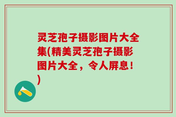 灵芝孢子摄影图片大全集(精美灵芝孢子摄影图片大全，令人屏息！)