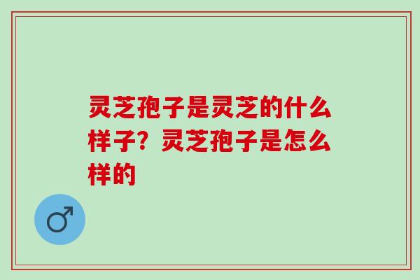 灵芝孢子是灵芝的什么样子？灵芝孢子是怎么样的