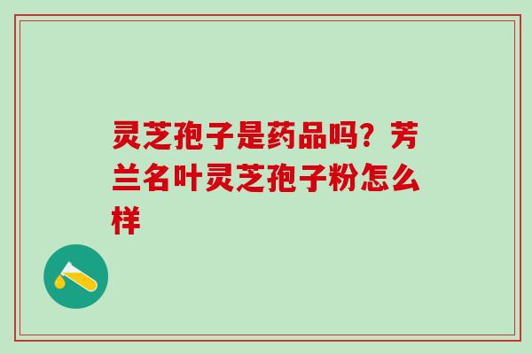 灵芝孢子是药品吗？芳兰名叶灵芝孢子粉怎么样