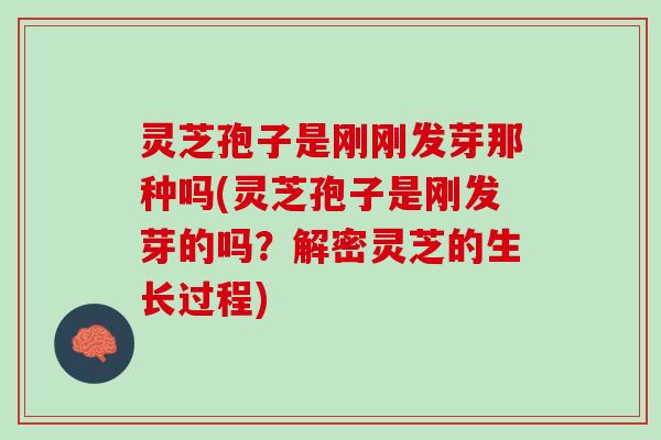 灵芝孢子是刚刚发芽那种吗(灵芝孢子是刚发芽的吗？解密灵芝的生长过程)