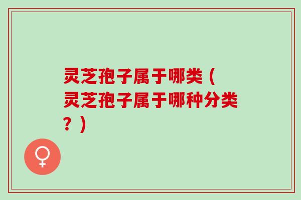 灵芝孢子属于哪类 (灵芝孢子属于哪种分类？)