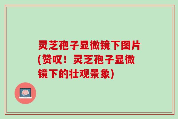 灵芝孢子显微镜下图片(赞叹!灵芝孢子显微镜下的壮观景象) 灵芝孢子显微镜下图片(赞叹!灵芝孢子显微镜下的壮观景象)