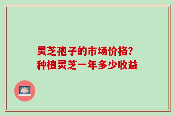 灵芝孢子的市场价格？种植灵芝一年多少收益