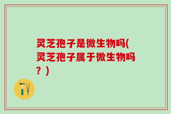 灵芝孢子是微生物吗(灵芝孢子属于微生物吗？)