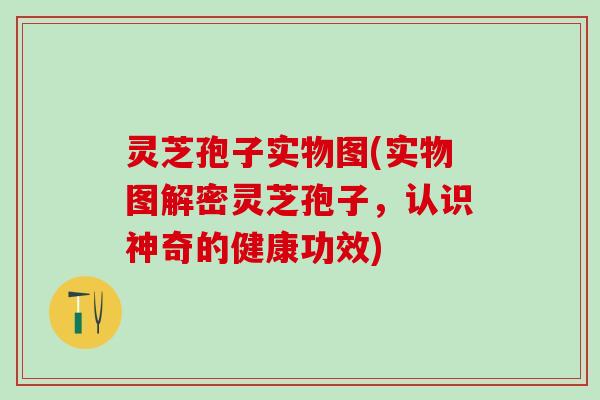 灵芝孢子实物图(实物图解密灵芝孢子,认识神奇的健康功效) 灵芝孢子实物图(实物图解密灵芝孢子,认识神奇的健康功效)