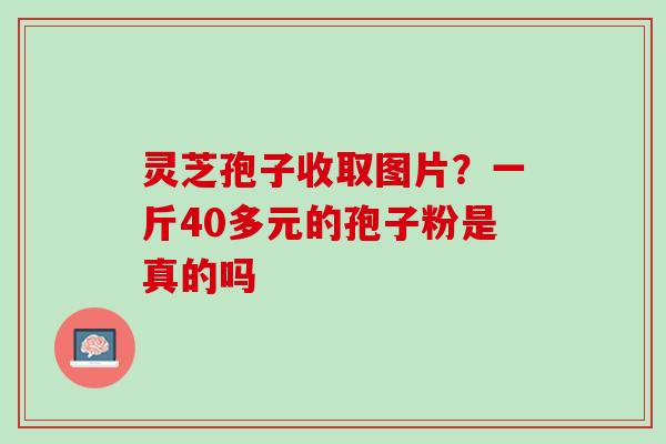 灵芝孢子收取图片？一斤40多元的孢子粉是真的吗