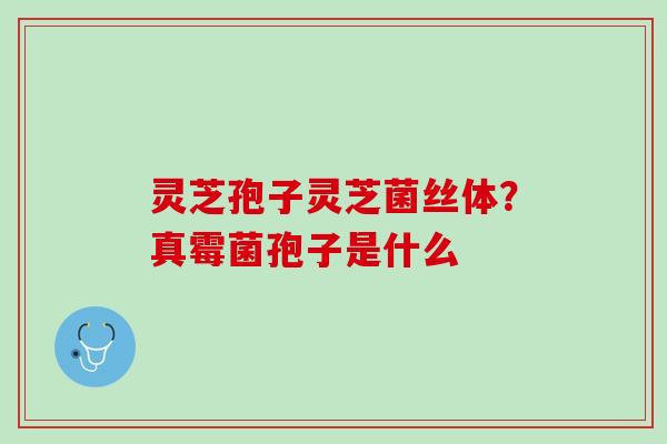 灵芝孢子灵芝菌丝体？真霉菌孢子是什么