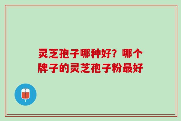 灵芝孢子哪种好?哪个牌子的灵芝孢子粉好 灵芝孢子哪种好?哪个牌子的灵芝孢子粉好